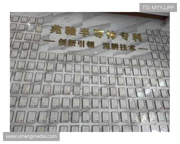 韩硕：从新星崛起到行业领军者的奋斗历程与未来展望