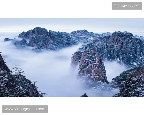 LNG逆袭之旅揭秘：从低谷到巅峰的职业联赛奋斗史