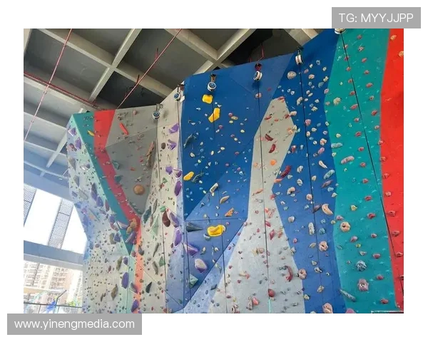 上海攀岩队的蜕变与挑战极限运动联赛的全新篇章 上海攀岩队的蜕变与挑战极限运动联赛的全新篇章