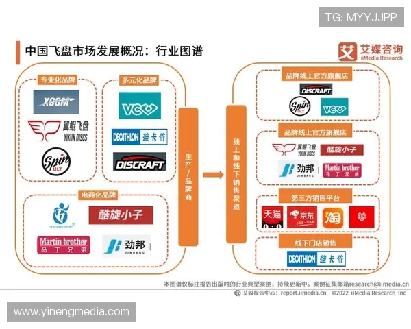 深圳飞盘队的成功运营模式与发展策略深度解析